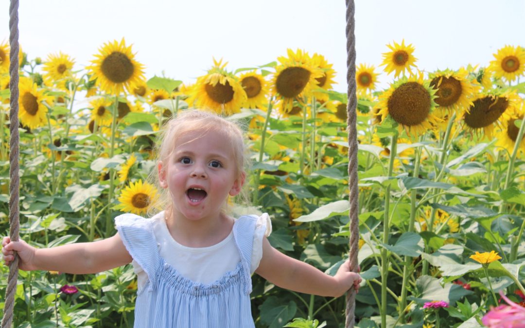 transplant recipient, Lillian, in a field of sunflowers